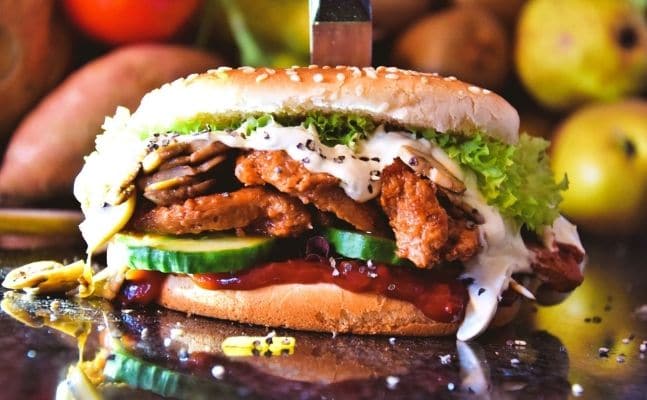 soja medaillons burger cranberry marinade | Vegane Rezepte | Ein Bild von a journey to ourselves