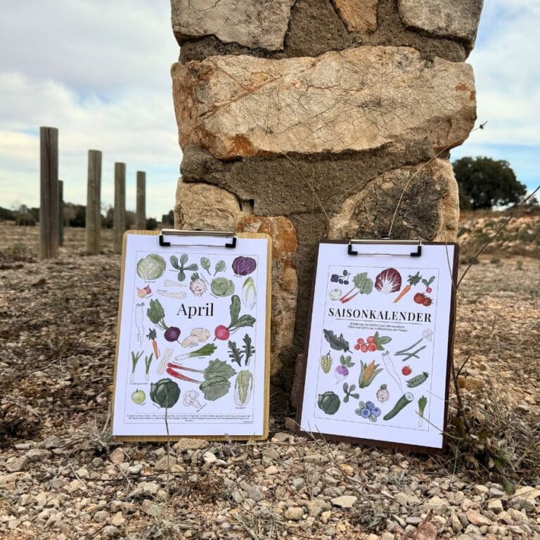 Saisonkalender für Obst und Gemüse ohne Datum (1)