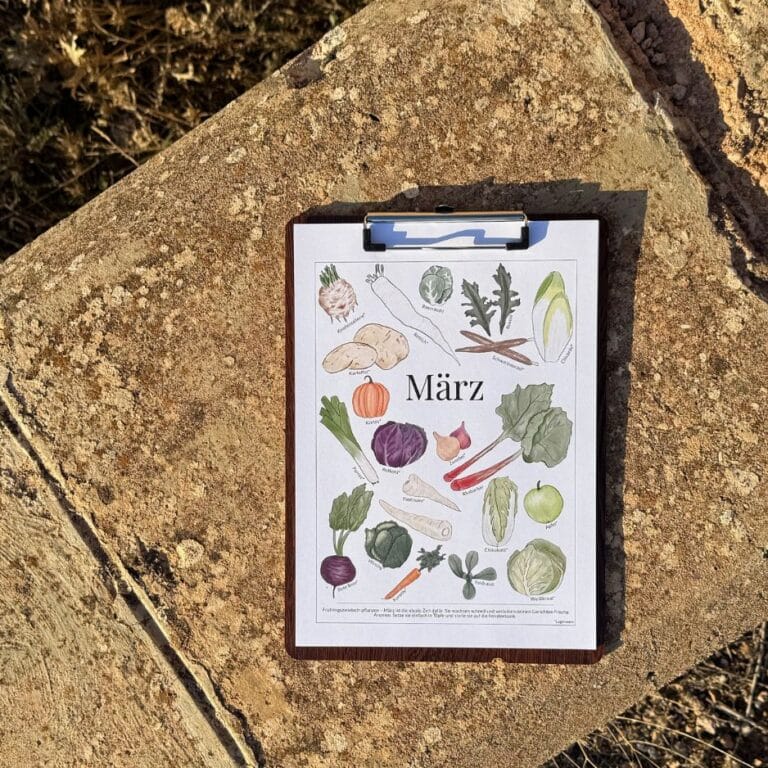 Saisonkalender für Obst und Gemüse ohne Datum (3)
