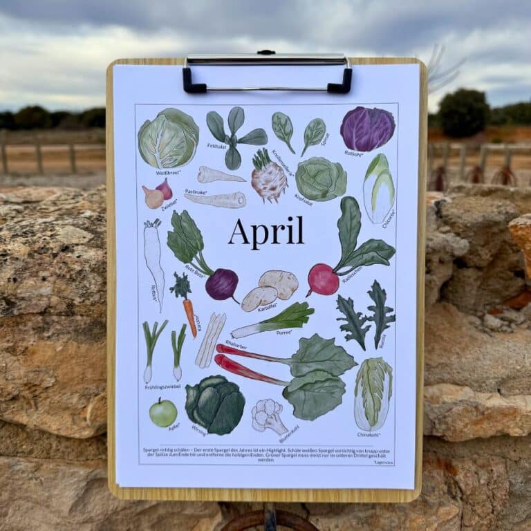 Saisonkalender für Obst und Gemüse ohne Datum (6)